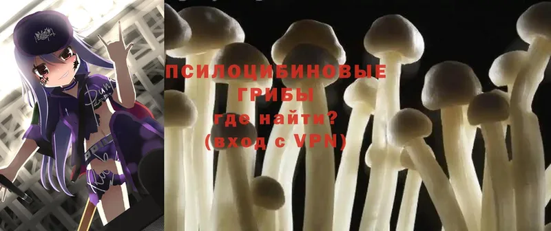 цены   Гаджиево  darknet состав  Галлюциногенные грибы MAGIC MUSHROOMS  OMG вход 